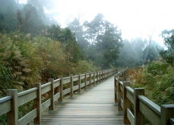 環湖生態步道